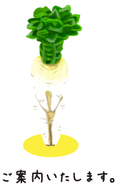 ご案内いたします